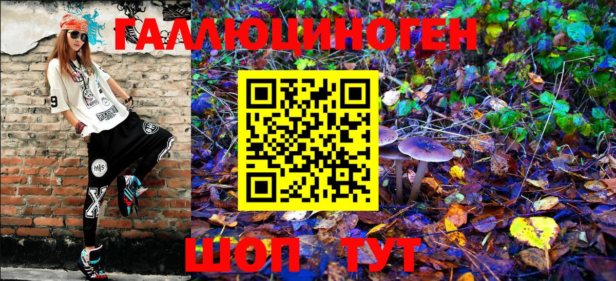 Псилоцибиновые грибы GOLDEN TEACHER Котовск