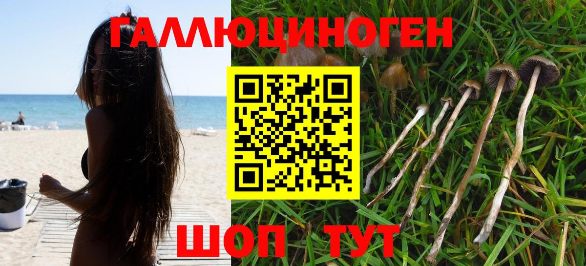 Галлюциногенные грибы мицелий  Галлюциногенные грибы Psilocybe  Вход с VPN  Котовск 