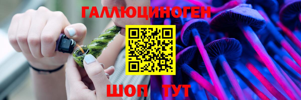 Галлюциногенные грибы GOLDEN TEACHER  Котовск 
