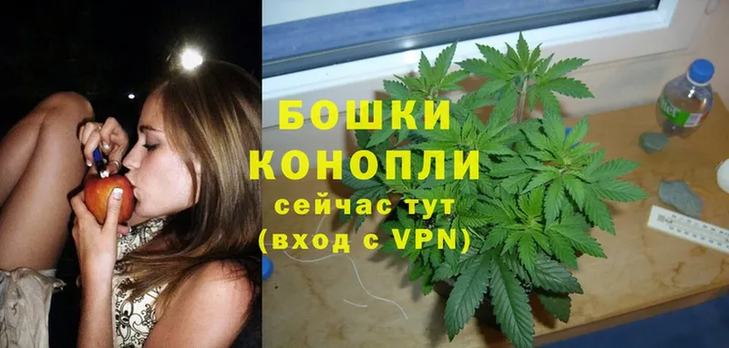 Канабис SATIVA & INDICA  Котовск 